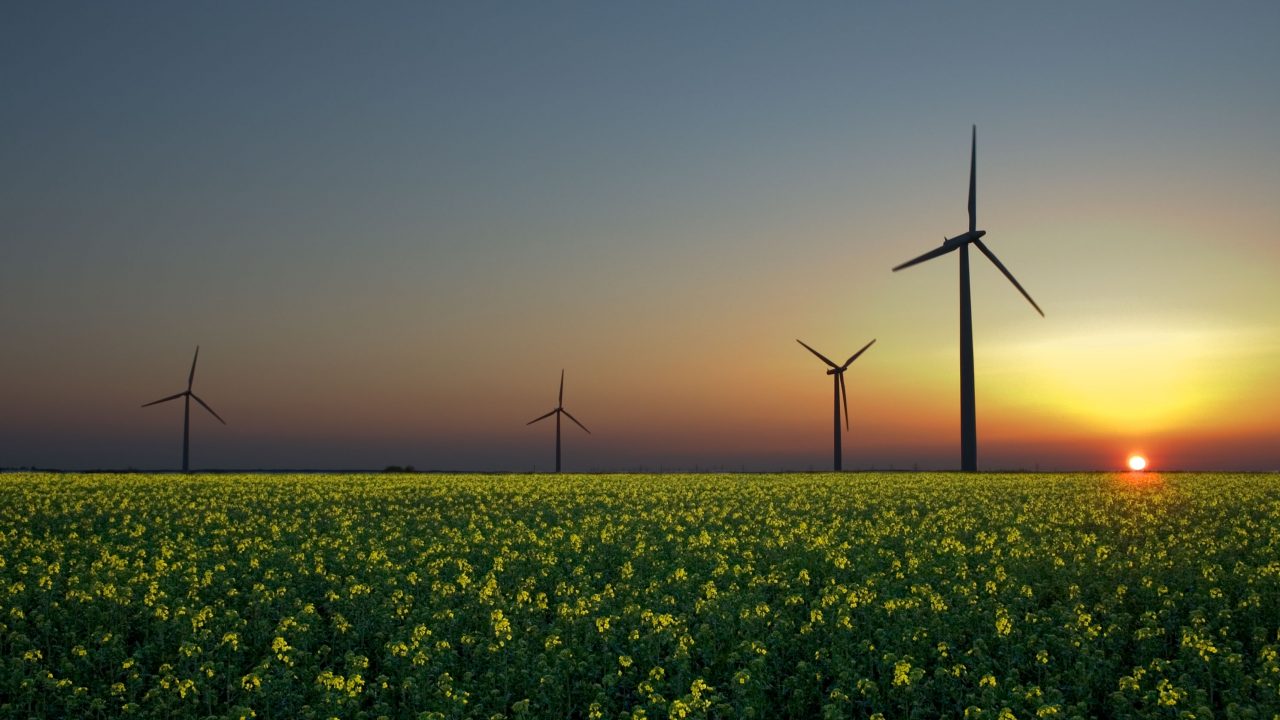 Kanada postawi na „zieloną” gospodarkę? Kanada postawi na zieloną energię?