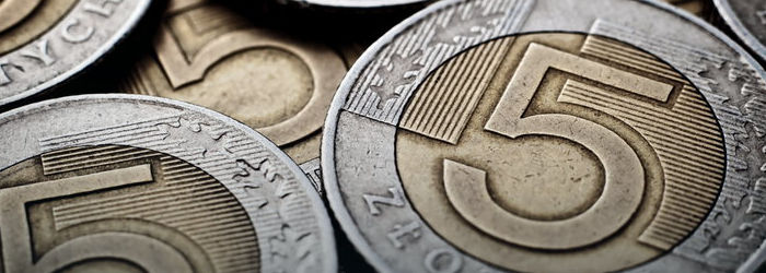 Utrzymanie trendu wzrostowego na wycenie złotego Złoty umacnia się po decyzjach EBC