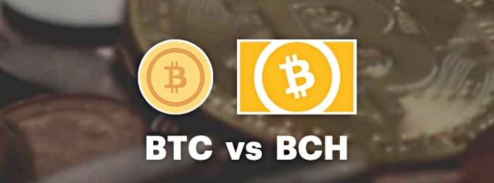 Bitcoin i Bitcoin Cash – jakie są różnice? Jakie są różnice pomiędzy Bitcoinem a Bitcoin Cash?