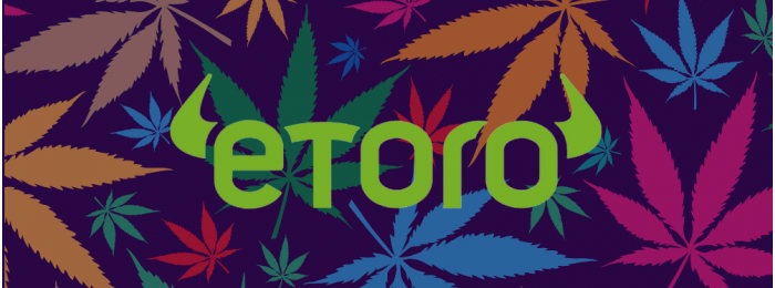 eToro wznawia inwestycje w marihuanowe portfolio etoro CannabisCare CopyPortfolio