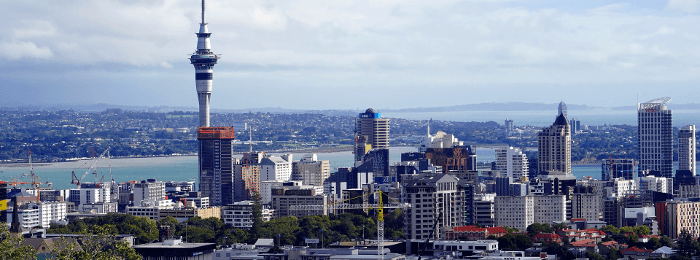Dyrektor Forex Brokers Ltd skazany na 3 lata Panorama Auckland