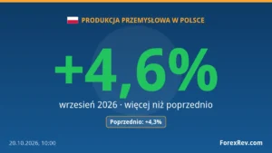 Produkcja przemysłowa w Polsce przyspiesza. GUS: wynik wyniósł +4,6% r/r